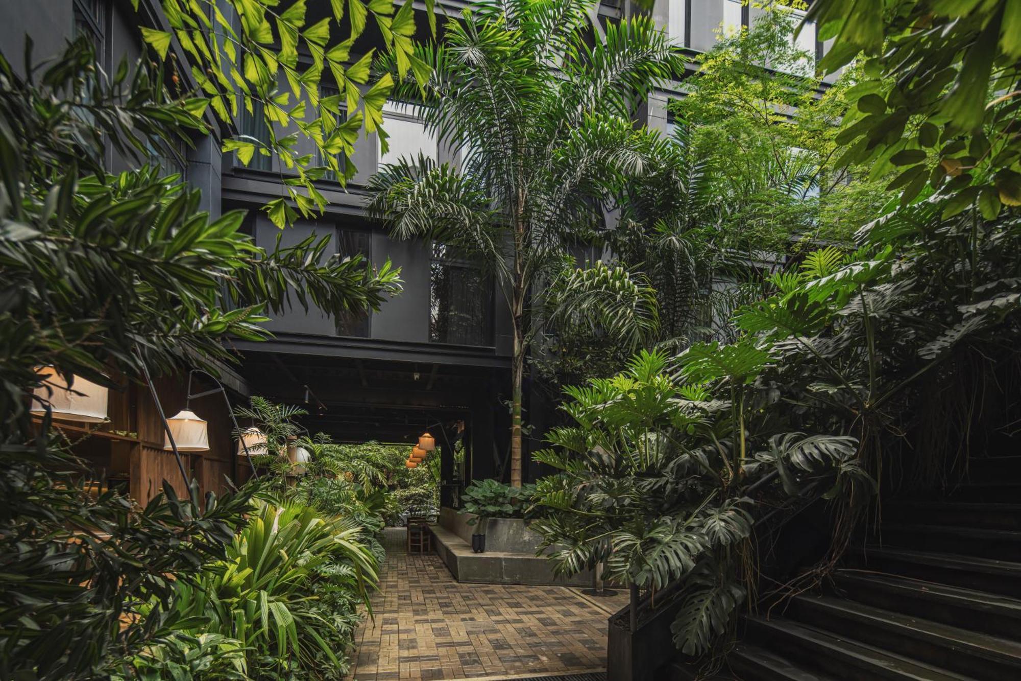 The Click Clack Hotel Medellín Exterior foto The interior courtyard of the hotel