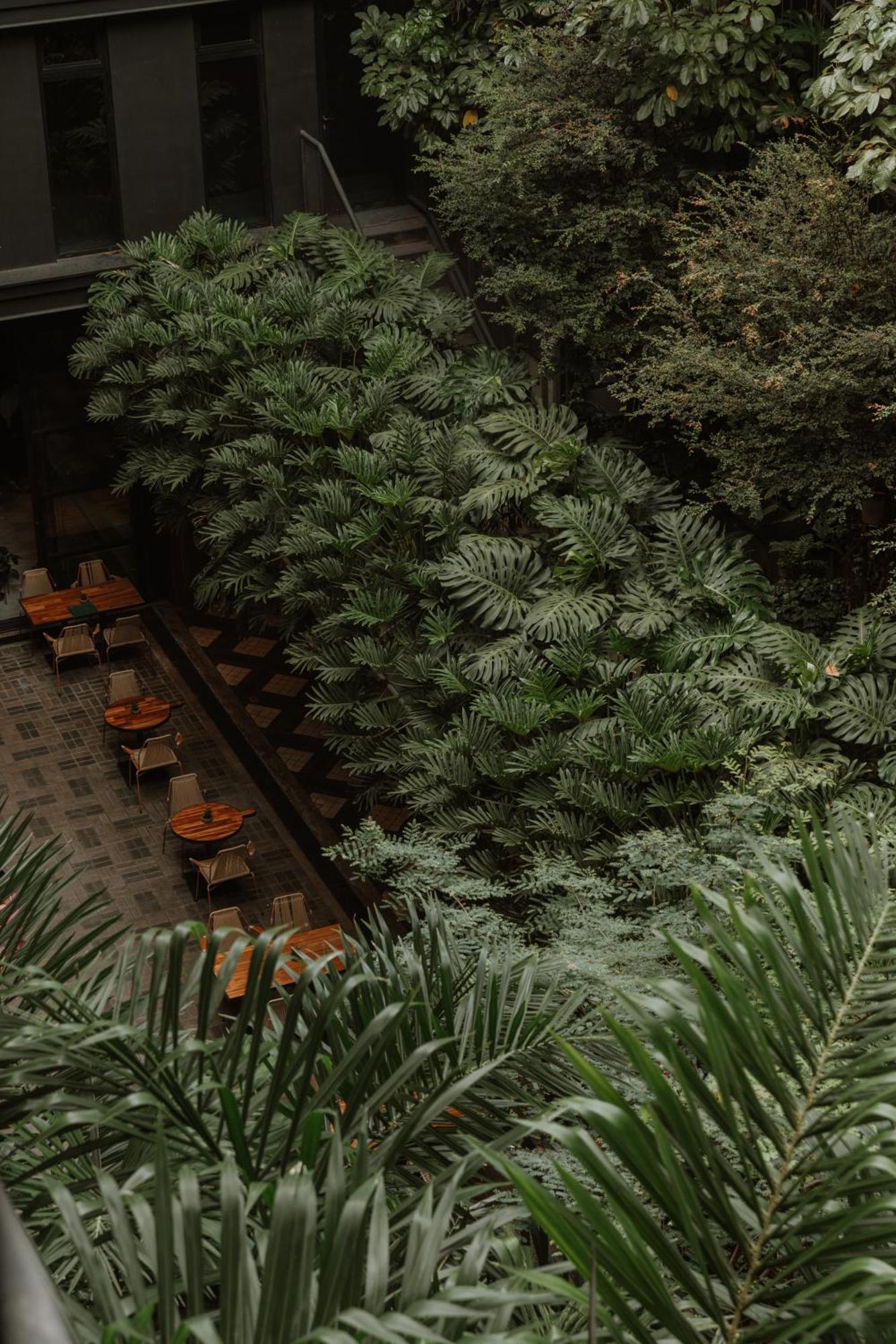 The Click Clack Hotel Medellín Exterior foto Alpinum